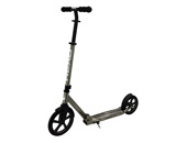 Εικόνα Πατίνια